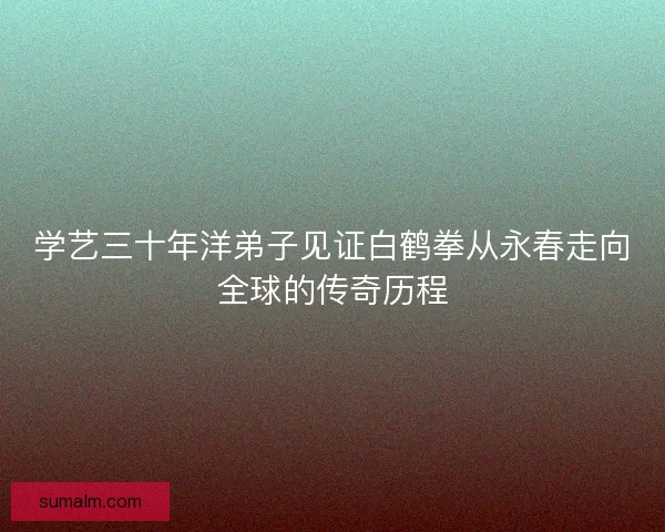 学艺三十年洋弟子见证白鹤拳从永春走向全球的传奇历程 学艺三十年洋弟子见证白鹤拳从永春走向全球的传奇历程