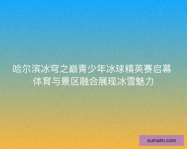 哈尔滨冰穹之巅青少年冰球精英赛启幕 体育与景区融合展现冰雪魅力